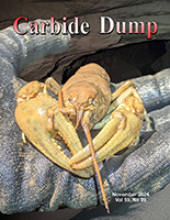 Nov 2024 Carbide Dump