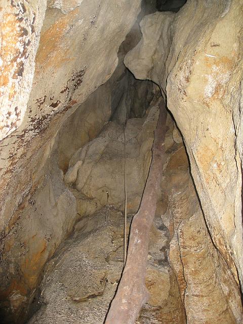 img_2693.jpg - Looking up the climb up.  Cavers of yesteryear used the tree to climb up.